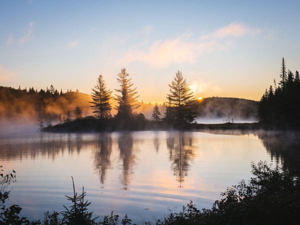 Morning reflection of trees on lake