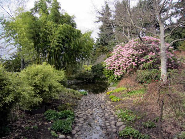 An image of the water in Finnerty Gardens