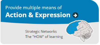 Provide multiple means of Action and Expression. Strategic networks. The 'How' of learning. Image of brain showing frontal lobe