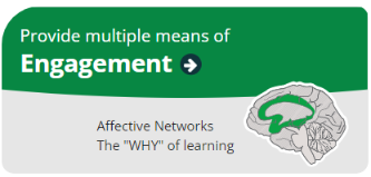 Provide multiple means of engagement - affective networks - the 'why' of learning. Image of the brain highlighting a structure in the center of the brain