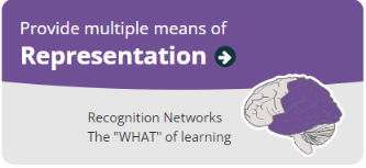 Provide multiple means of representation. Recognition networks, the 'What' of learning. Image of brain showing section at the back highlighted.