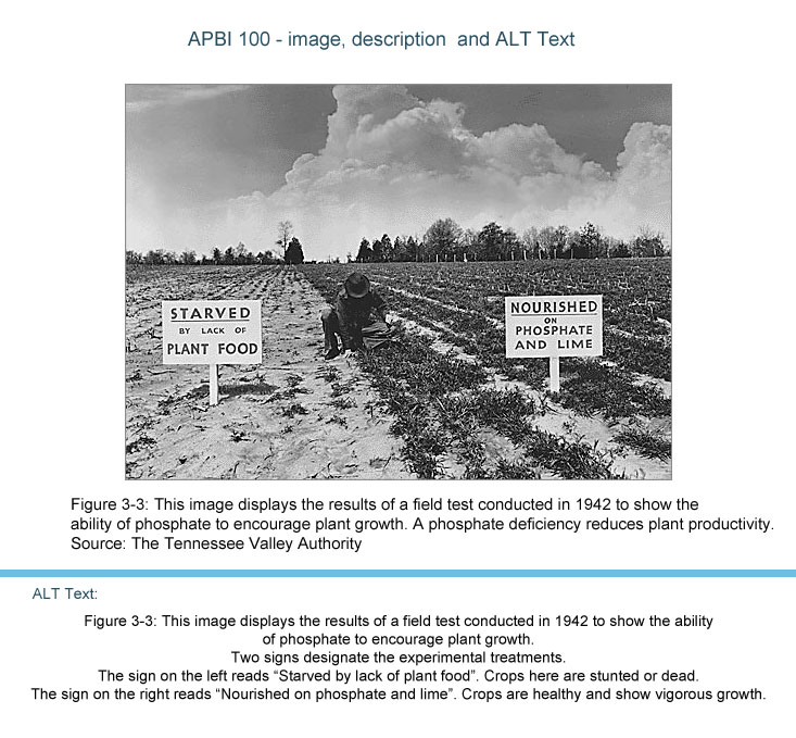 An archival photo showing both the caption and the alt tag. The alt tag includes a detailed description of the image including signage.