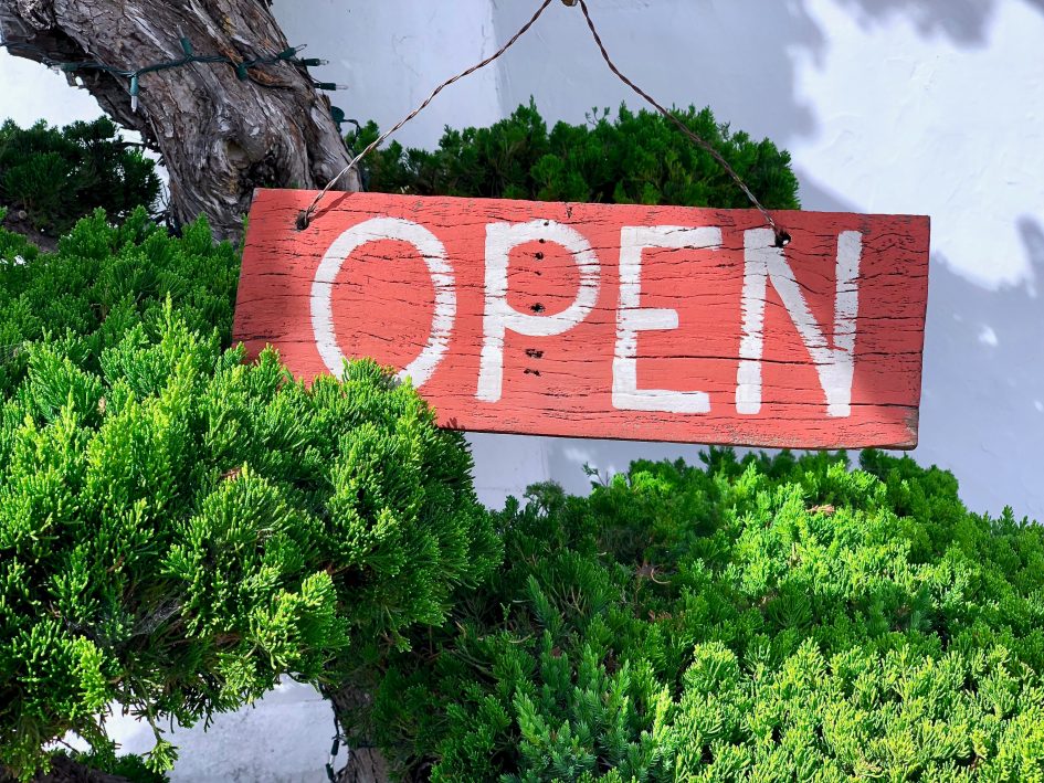 a red wooden sign with the word "OPEN" written in white, hanging from a branch of a tree with green foliage.