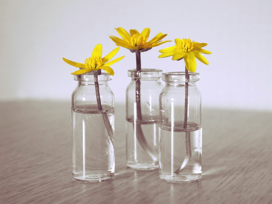Three yellow flowers in vases on a table